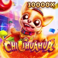 CHILIHUAHUA thumbnail